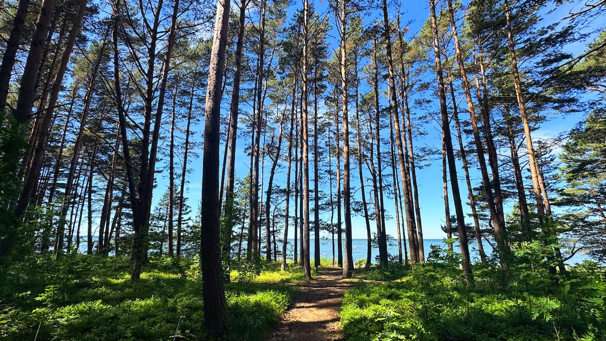 Ümbrus ja rand – Nabe tee 9